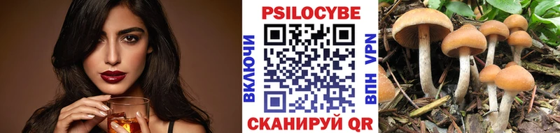 Купить  Сорск  Псилоцибиновые грибы Cubensis 